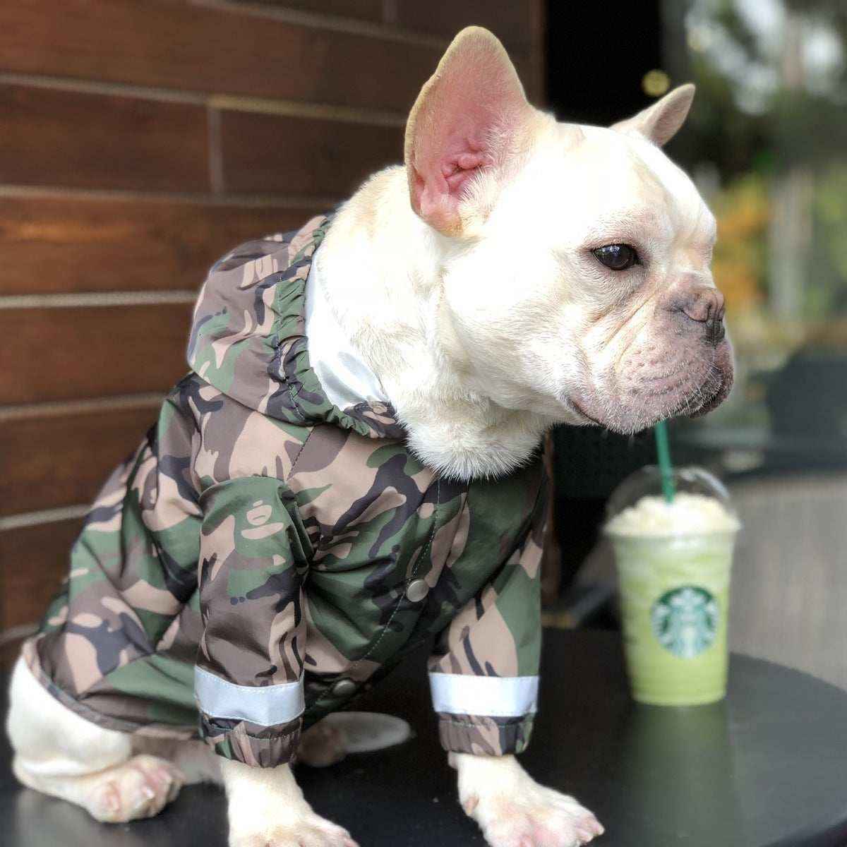 Impermeabile per cani e Bulldog francese riflettente "Manaus" by Dog Moda
