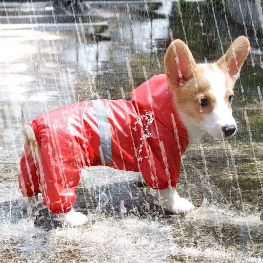 Impermeabile per Cani e Bassotto "RainStar" – Stile e Protezione per Tutti i Cani by Dog Moda