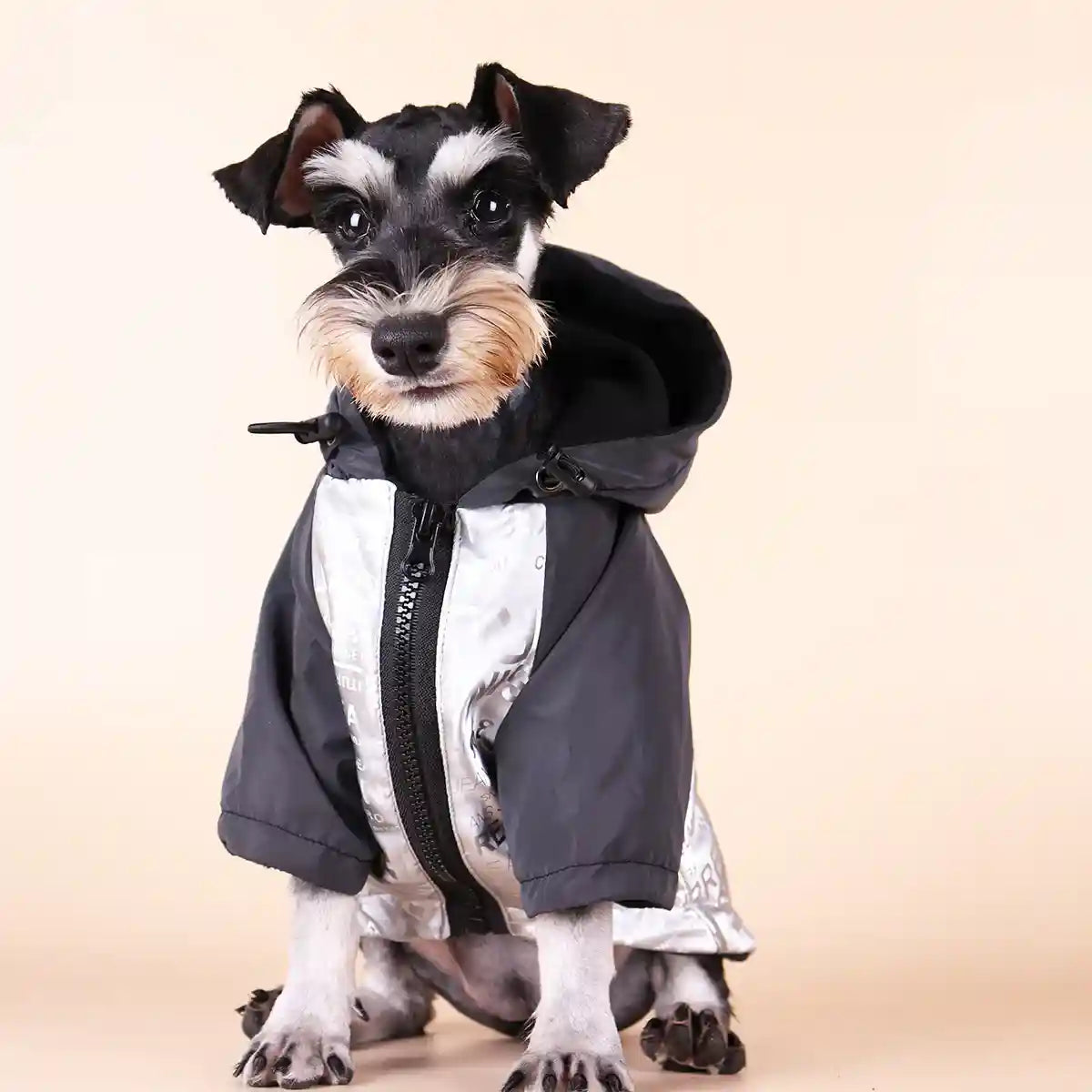 Impermeabile per Cani Cleo - Riflettente e Antivento by Dog Moda