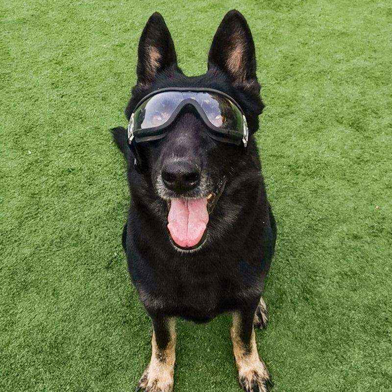 Maschera Protettiva per Cani SolShield - Massima Protezione dal Sole, Vento e Sabbia by Dog Moda