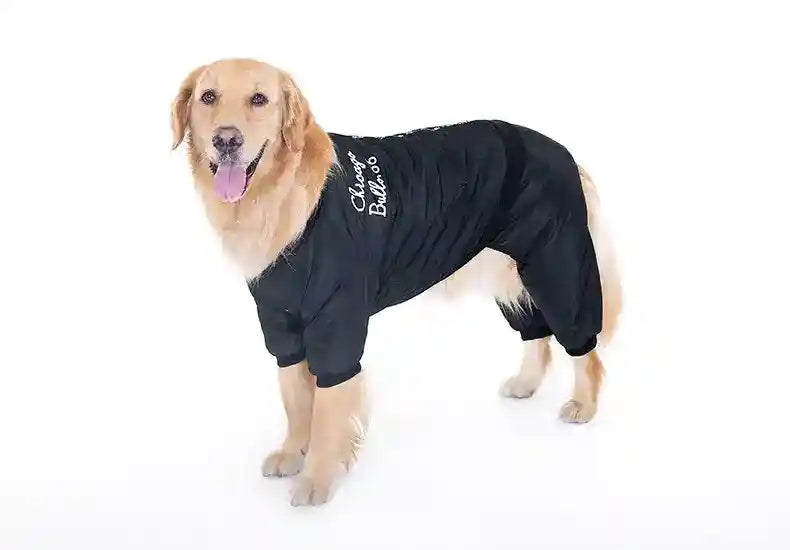 Cappotto Nero Quattro Zampe "Chicago Bulls" - Eleganza e Stile per il Tuo Cane by Dog Moda