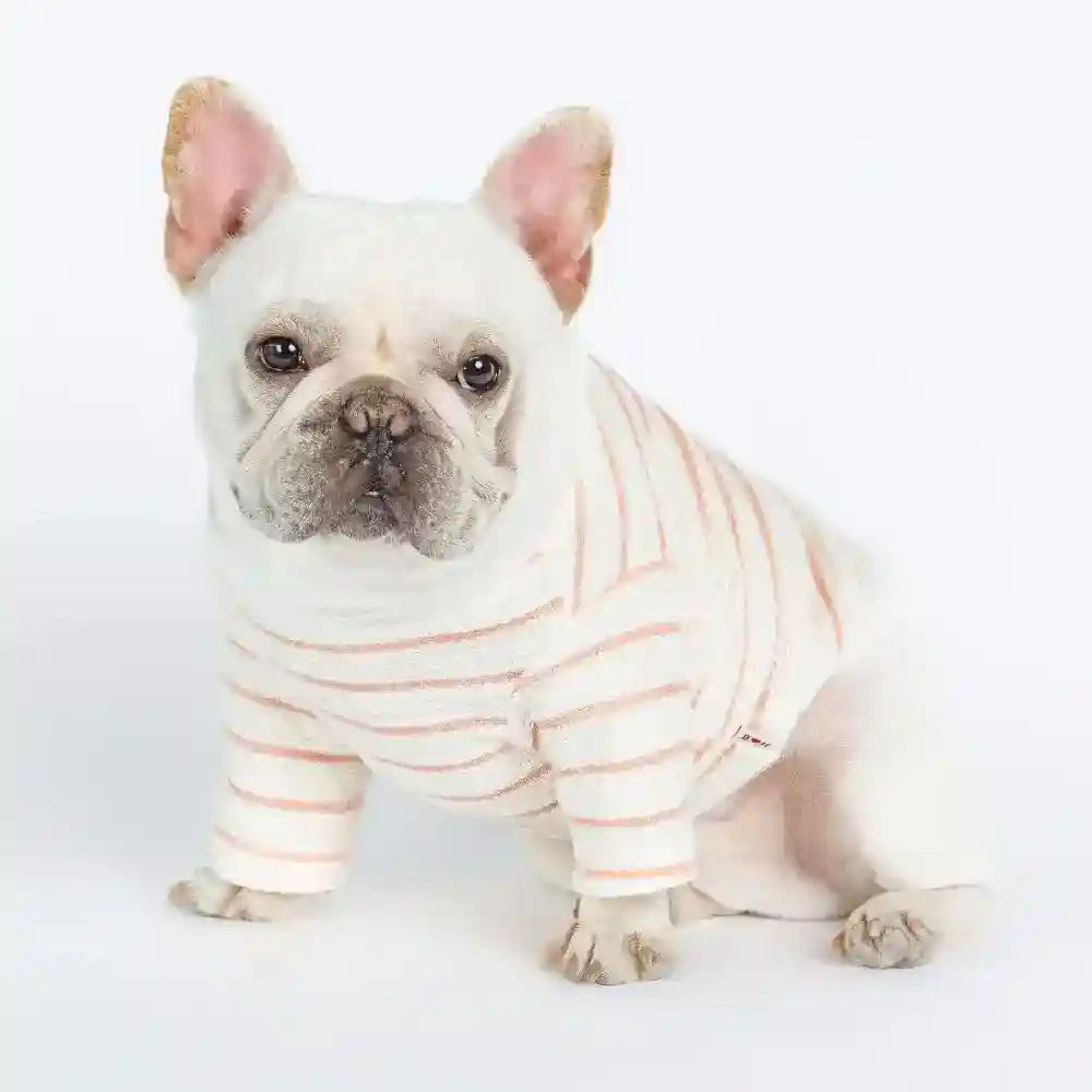 Maglia per cani e Bulldog francese in cotone "Osaka" by Dog Moda