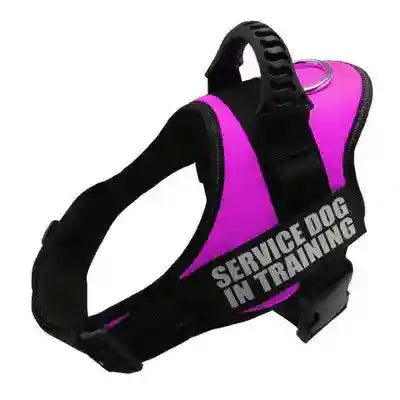 Pettorina per Cani Personalizzabile - Dog Moda