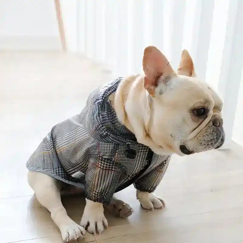 Impermeabile per Cani "Scottish" – Eleganza e Protezione per il Tuo Amico a Quattro Zampe by Dog Moda