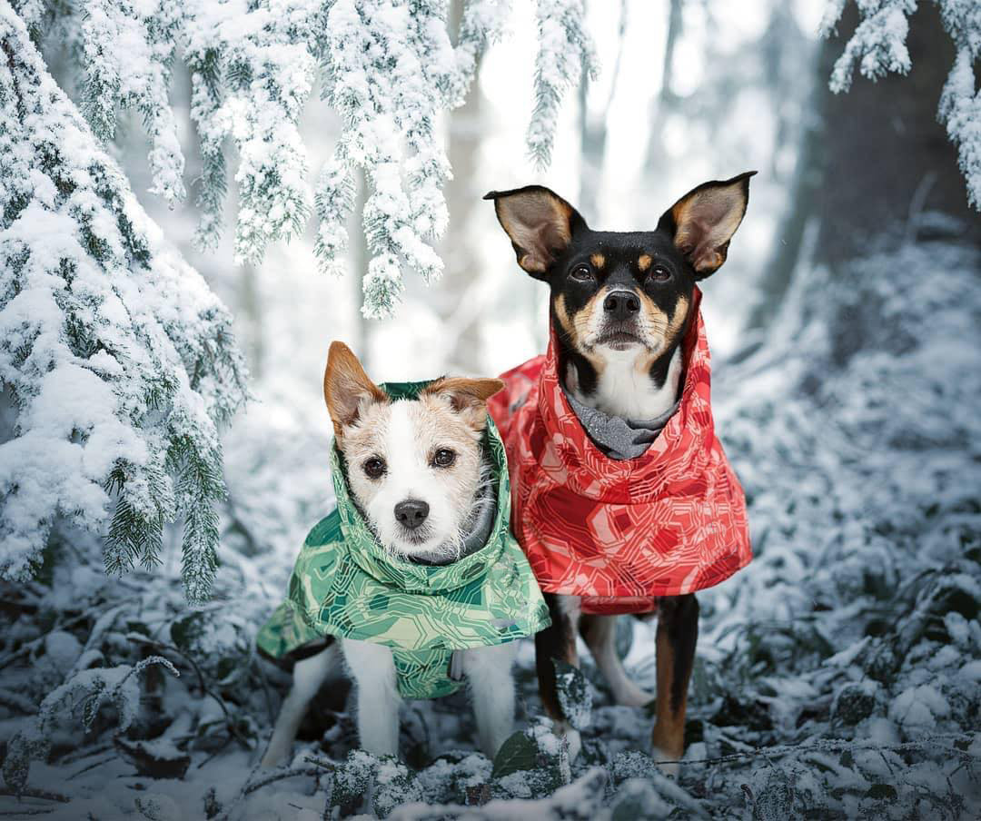 Cappotto trapuntato per cani "North Ice" – Protezione termica per le escursioni invernali