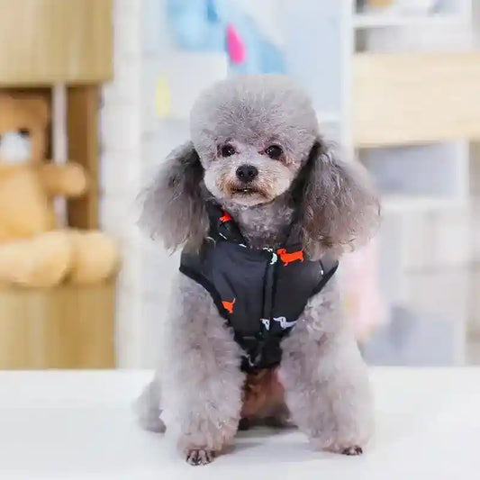 Capottino per cani smanicato fantasia "Bassotto" by Dog Moda