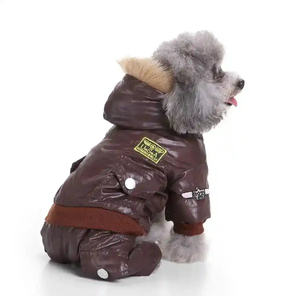 Gray poodle dog wearing a brown insulated winter jacket with hood and patches