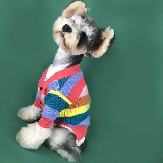 Maglione per Cani "Arcobaleno" – Morbido, Colorato e Super Trendy by Dog Moda
