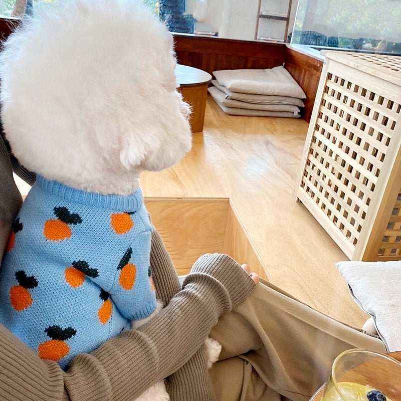 Maglione per cani fantasie di carotine by Dog Moda