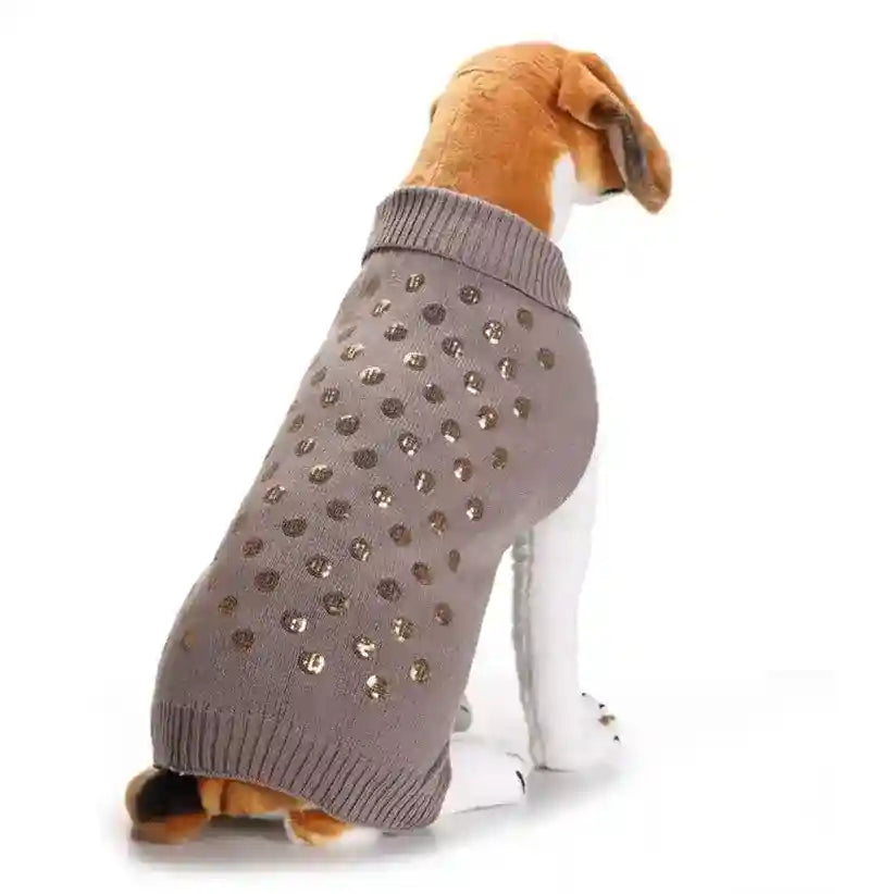 Beagle dog wearing gray knitted sweater with gold polka dots on white background