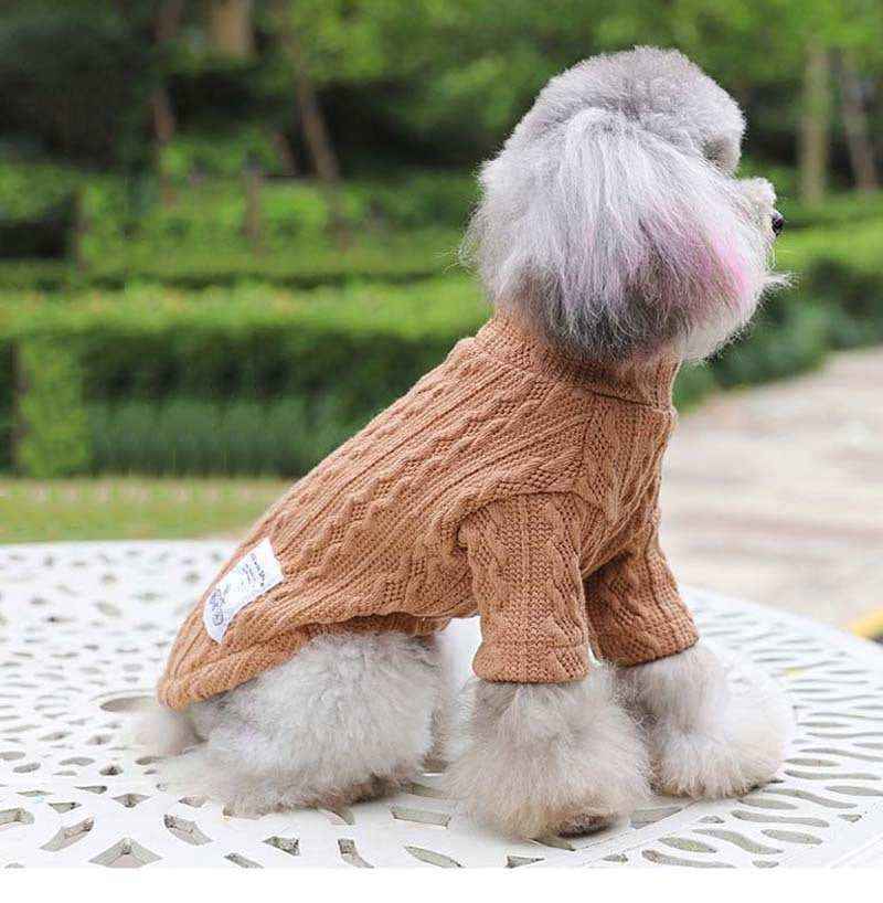 Gray poodle wearing a brown knitted sweater sitting on a white patterned table outdoors