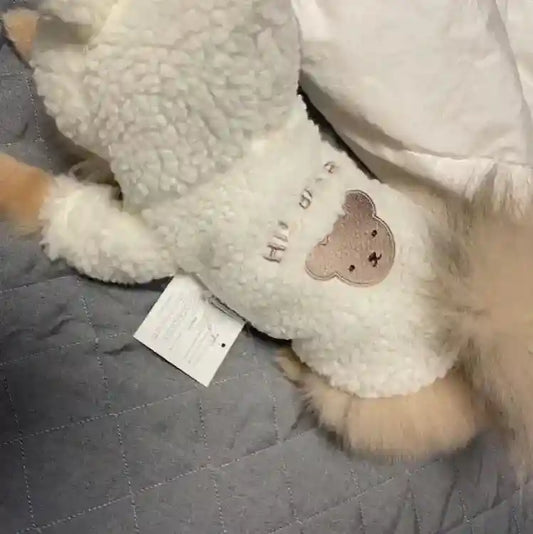 Cappottino per Cani "Hi Bear!" in Pile Morbido con Cappuccio e Orecchie by Dog Moda