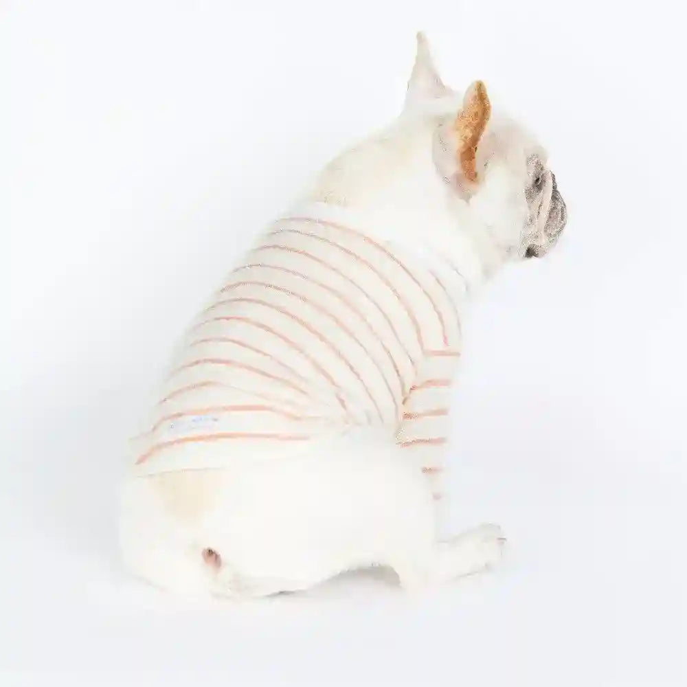 Maglia per cani e Bulldog francese in cotone "Osaka" by Dog Moda
