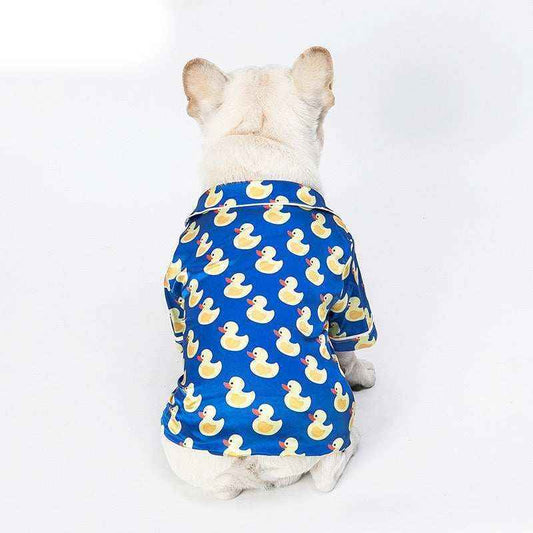 White dog wearing blue shirt with yellow rubber duck pattern sitting facing away on white background