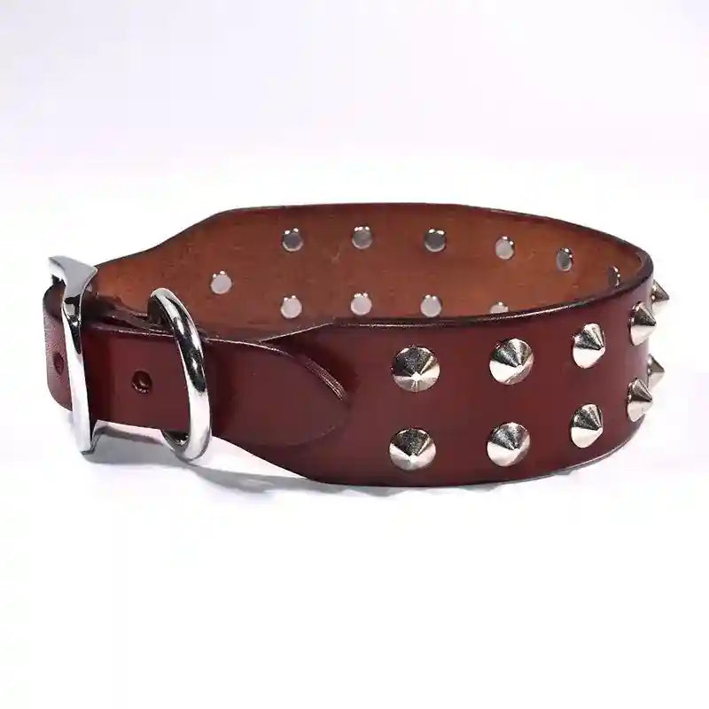 Collare Hercules per Cani con Borchie - Pelle Premium by Dog Moda