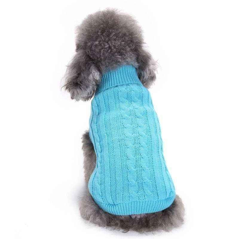 Gray poodle dog wearing a light blue knitted cable sweater sitting on white background