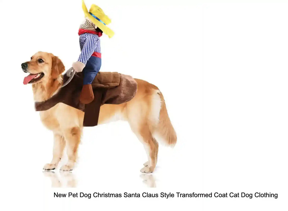 Golden retriever wearing cowboy rider costume with saddle and doll on its back