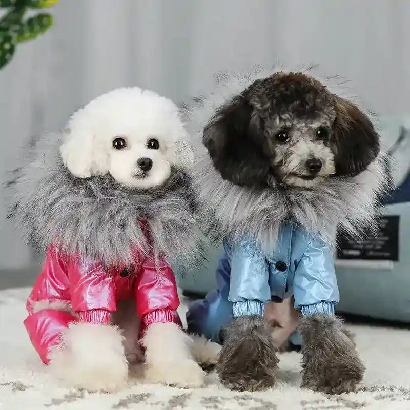 Piumino per Barboncino a 4 Zampe "Nala" – Eleganza e Protezione per il Tuo Cane by Dog Moda