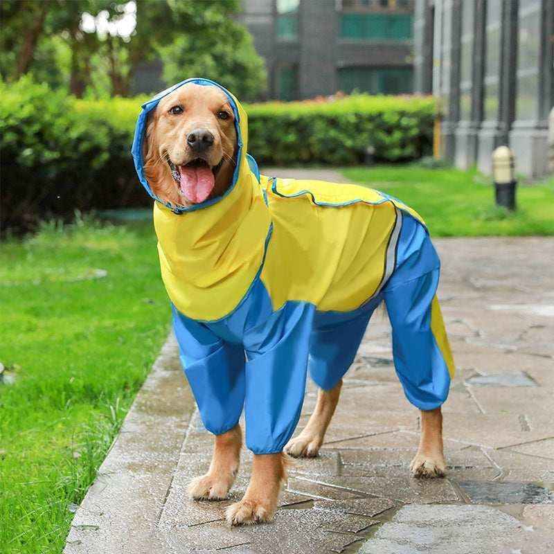 Golden retriever wearing a blue and yellow waterproof dog raincoat outdoors