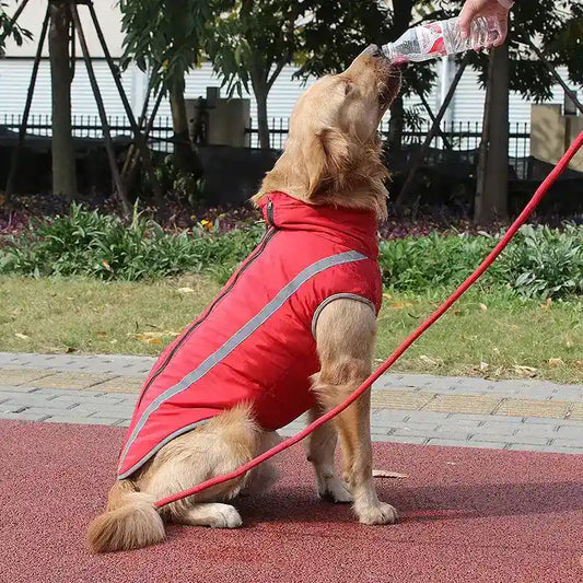 Giacca per cani facile da indossare riflettente e imbottita con pile by Dog Moda