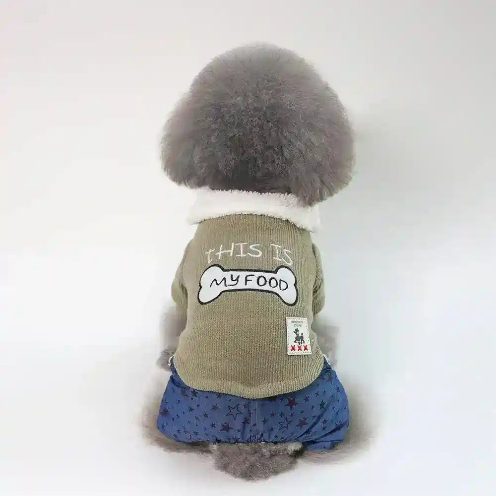 Gray poodle dog wearing green sweater with bone graphic and blue star-patterned pants sitting on white background