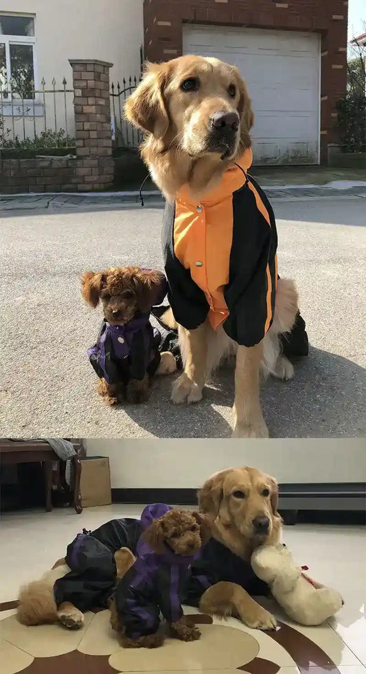 Impermeabile per Golden e Labrador Retriever Protezione Totale – Perfetto per cani di taglia grande - Dog Moda