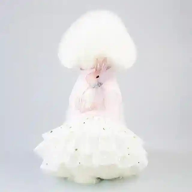 White fluffy dog wearing a pink dress with a bunny design and a layered white tulle skirt with gold stars