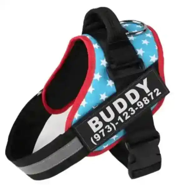 Pettorina per Cani Personalizzabile - Dog Moda