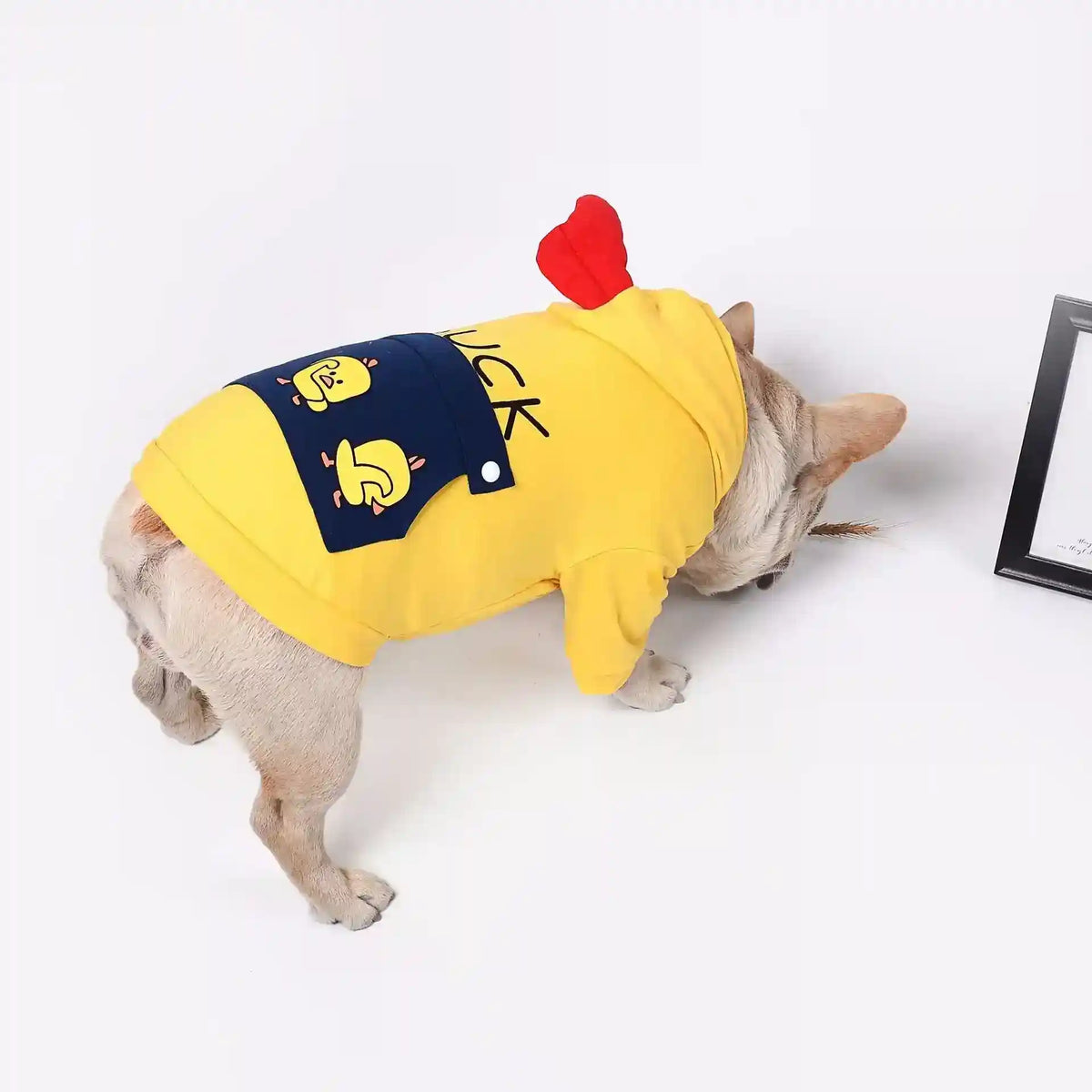 Felpa per cani con cappuccio "Duck" anche per Bulldog by Dog Moda