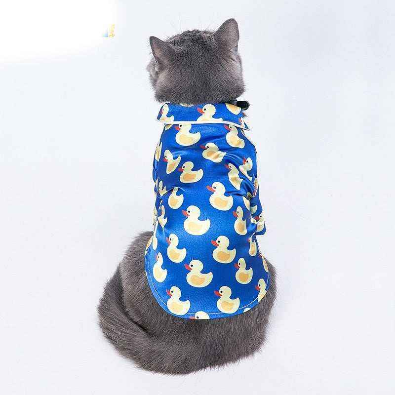 Gray cat wearing blue shirt with yellow rubber duck prints sitting on white background