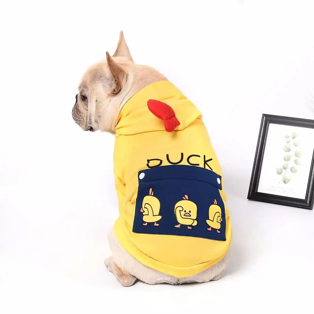 Felpa per cani con cappuccio "Duck" anche per Bulldog by Dog Moda
