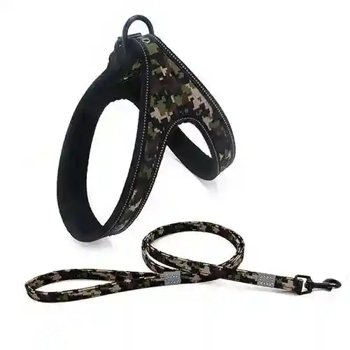 Pettorina per cane a Y e guinzaglio modello "Variopinto" by Dog Moda