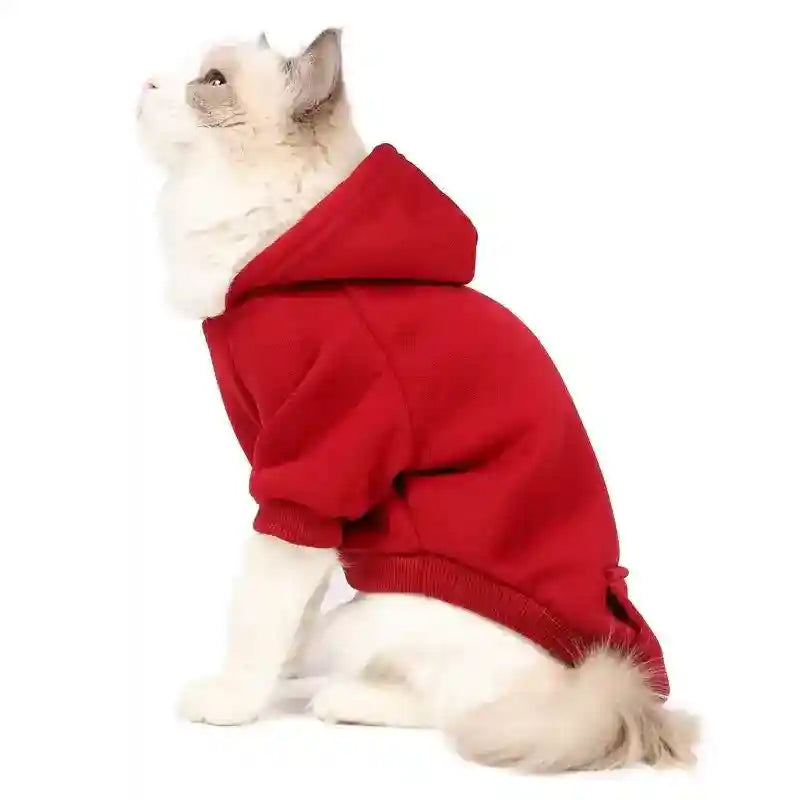 Maglia per Gatti con Cappuccio "Basic" e Taschino by Dog Moda