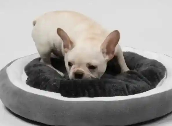 Lettino per cani con cuscino estraibile "Oreo" by Dog Moda