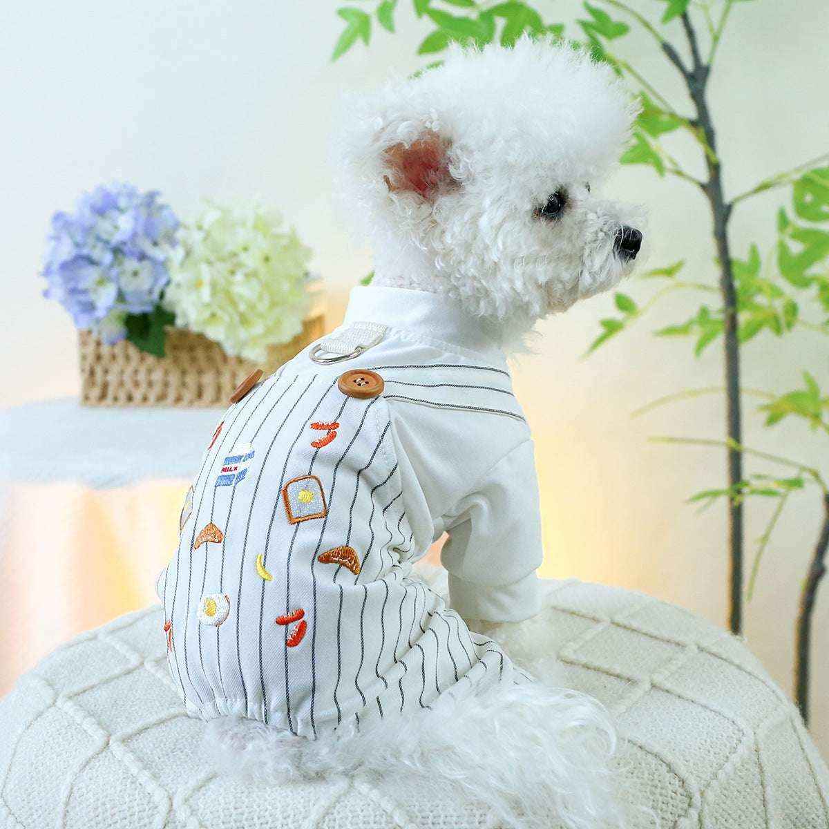 Tutina Breakfast per Cani Piccoli | Body con Pettorina e Zampe