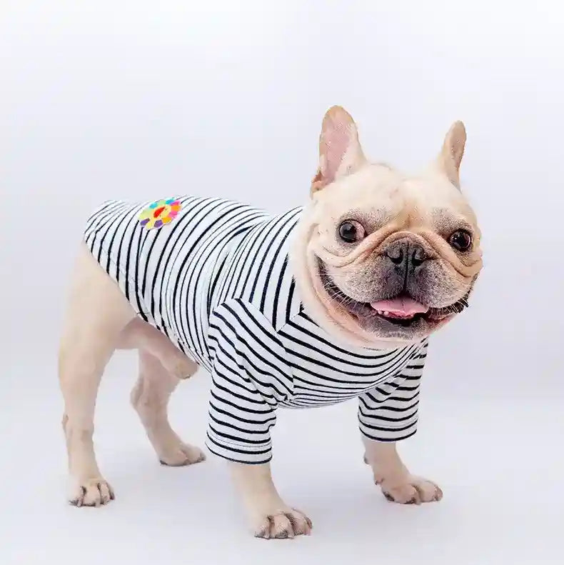 Salopette a righe per cani con maglietta in puro cotone "Malaga" by Dog Moda