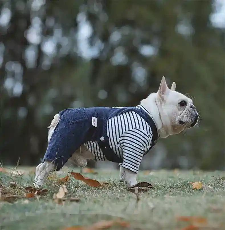 Salopette a righe per cani con maglietta in puro cotone "Malaga" by Dog Moda