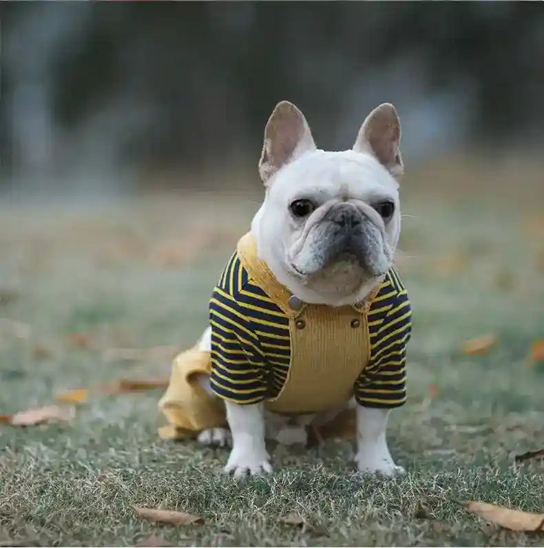 Salopette a righe per cani con maglietta in puro cotone "Malaga" by Dog Moda