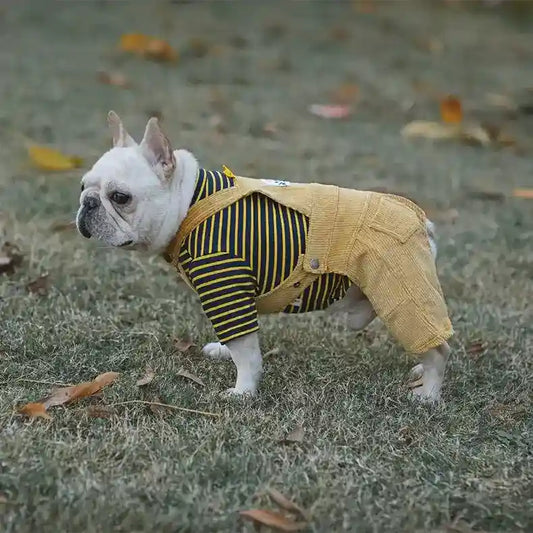 Striped overalls for dogs with pure cotton T-shirt "Malaga"