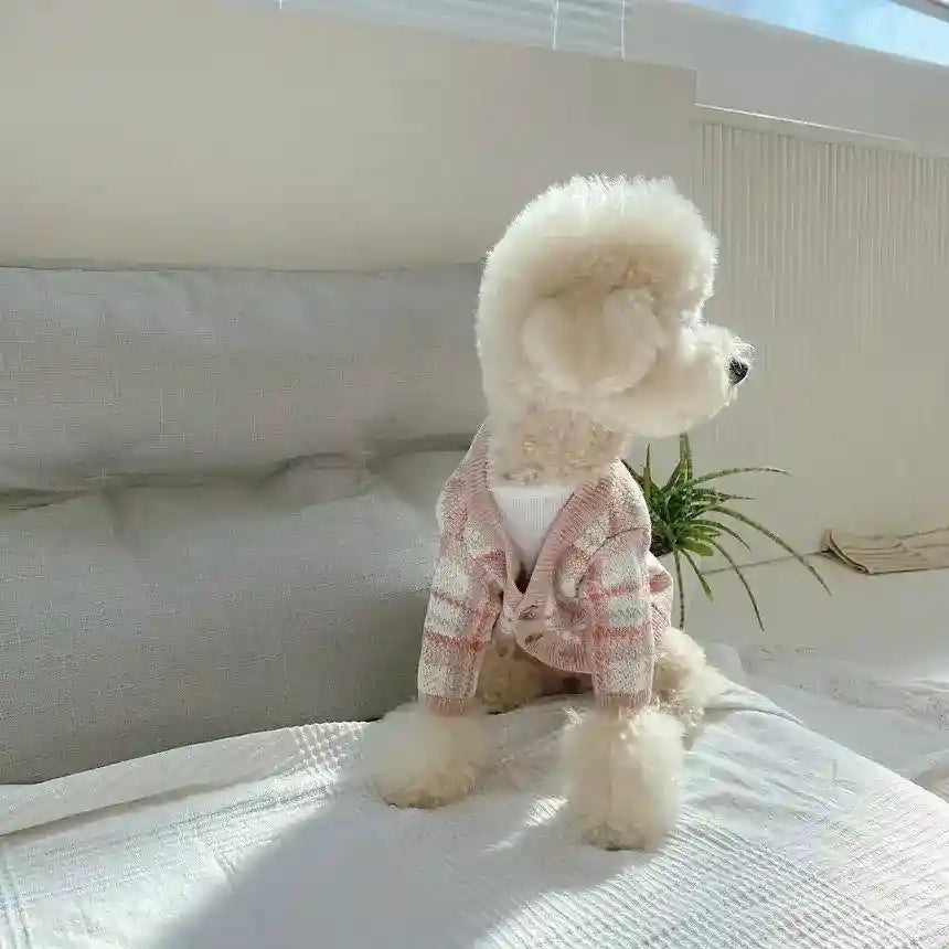 Maglione per Cani "Eva" - Cardigan Rosa Invernale con Bottoni by Dog Moda