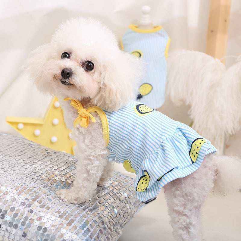 White poodle dog wearing blue striped dress with yellow lemon print and bow indoors