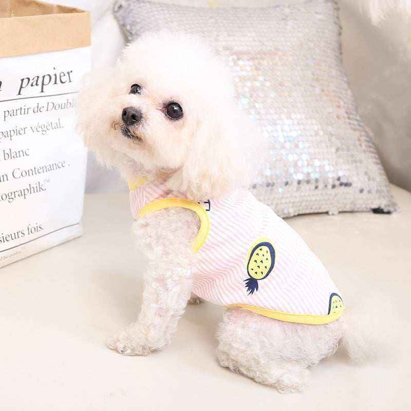 Small white poodle wearing a pink and yellow pineapple print dog shirt sitting indoors on a white floor
