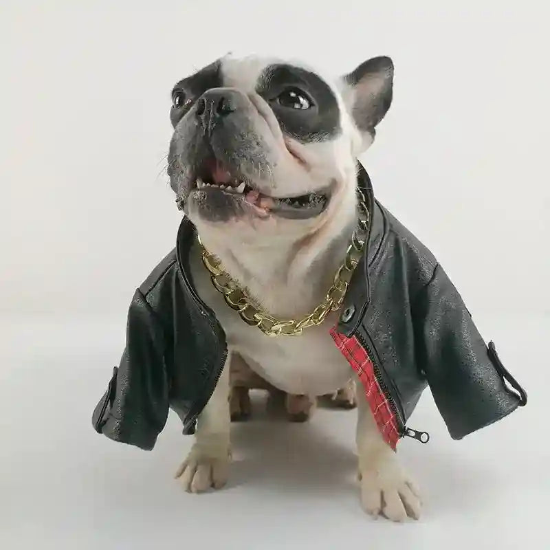 Giacca effetto pelle per bulldog in stile rock - foto 4