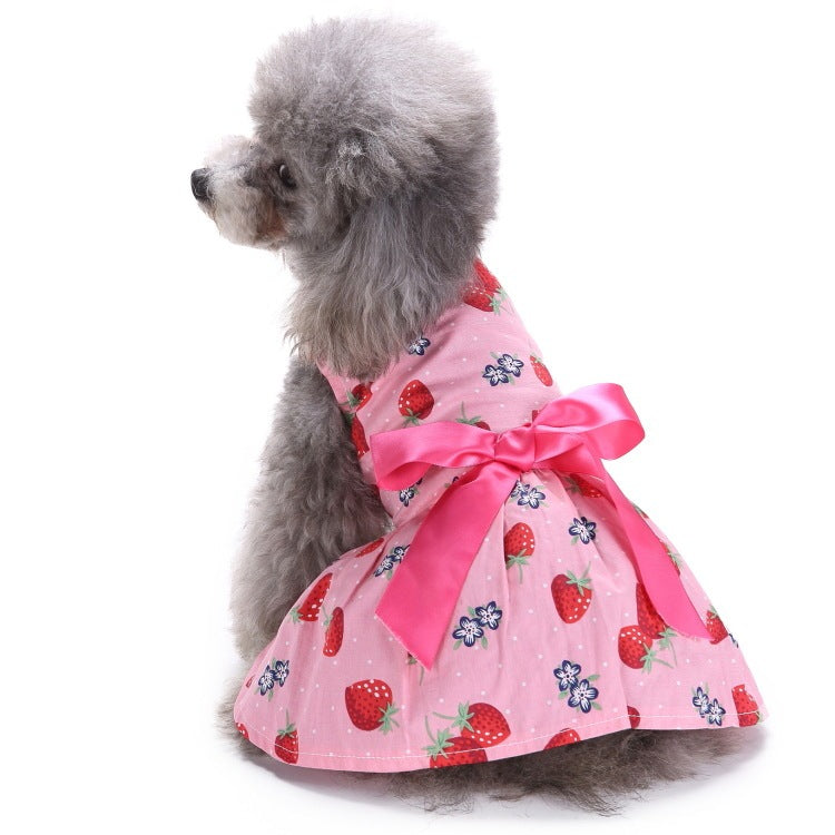 Elegant Dog and Poodle Dress