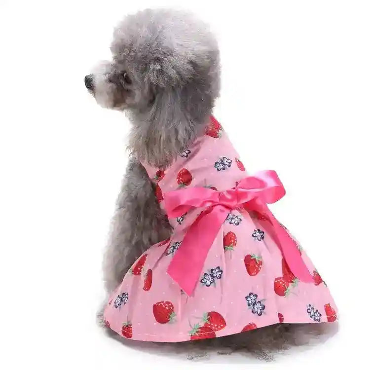 Vestitino per cani e Barboncino elegante by Dog Moda