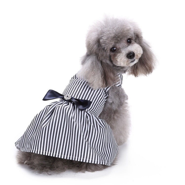 Elegant Dog and Poodle Dress
