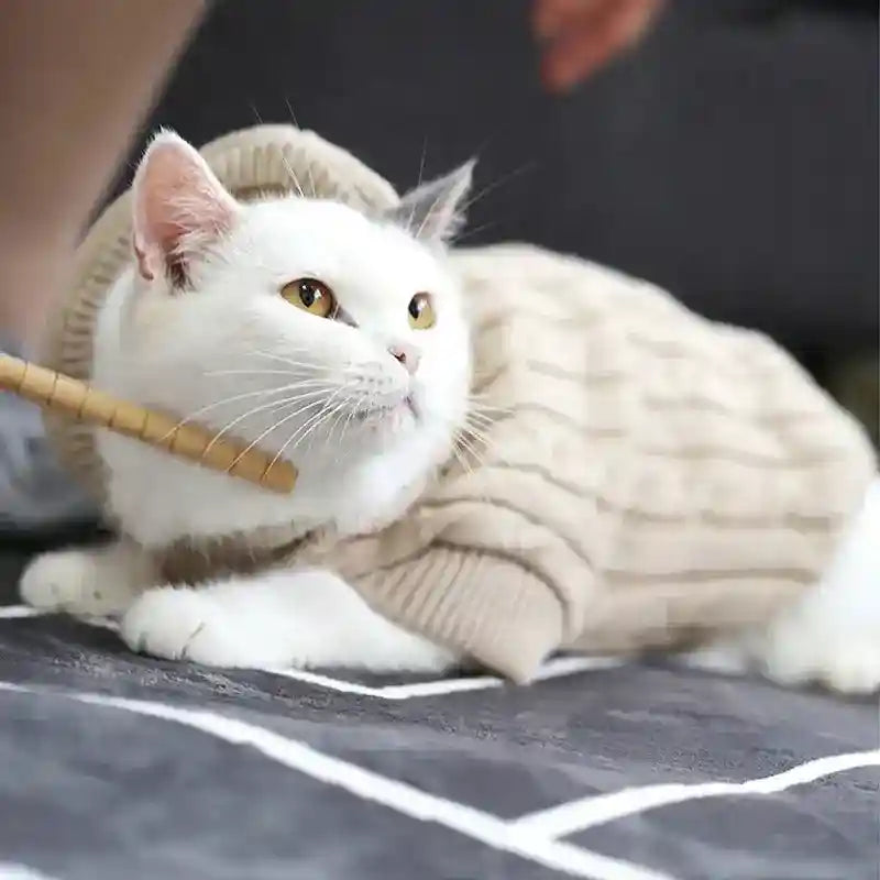 Maglione per Gatti con Lavorazione a Treccia e Collo Alto – Morbidezza e Stile per il Tuo Micio by Dog Moda