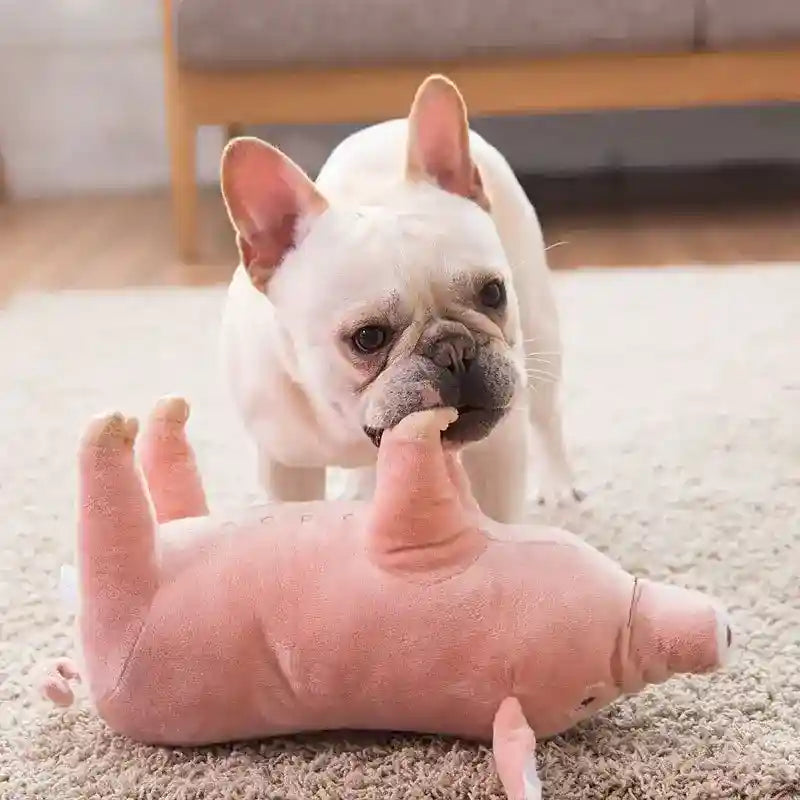 Peluche per Cani "Maialino Ghiottone" – Divertimento e Relax per il Tuo Amico a Quattro Zampe by Dog Moda