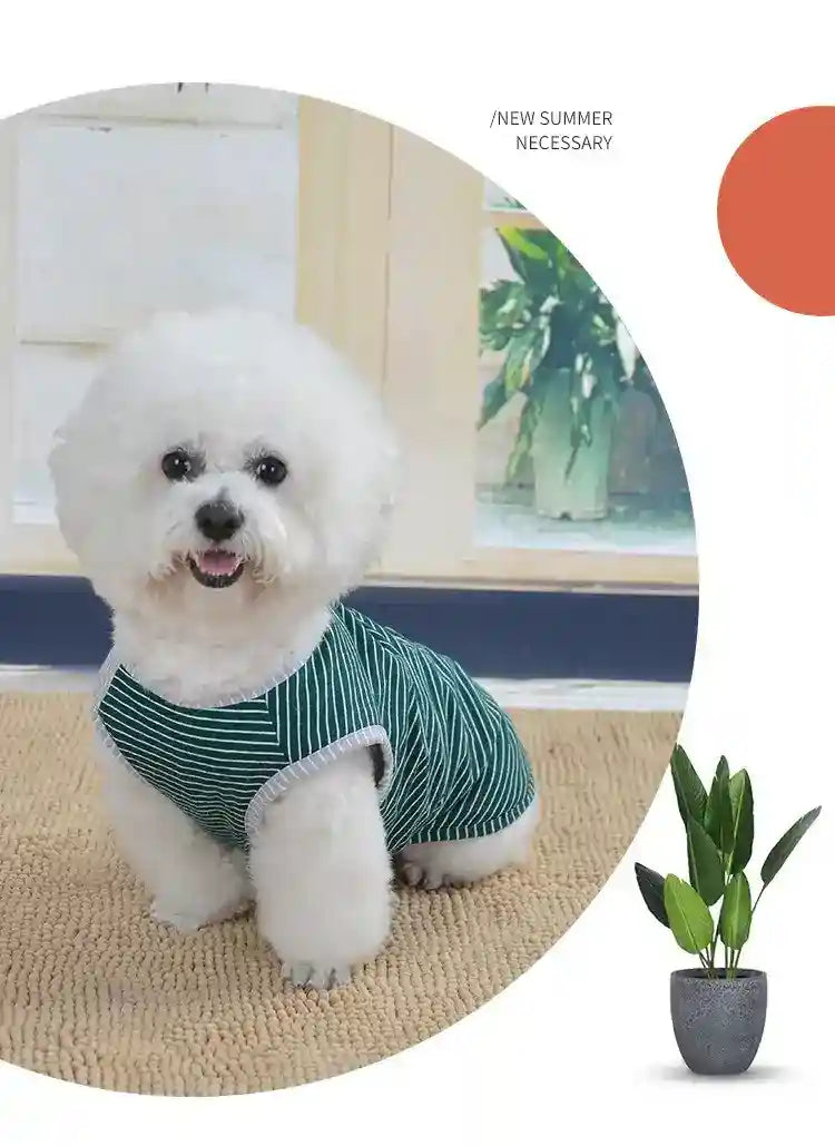 Maglietta per Cani "Cactus" - Smanicata in Cotone Elasticizzato by Dog Moda