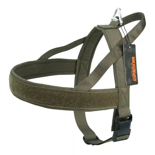 Pettorina per cani personalizzabile "Dynamic" by Dog Moda